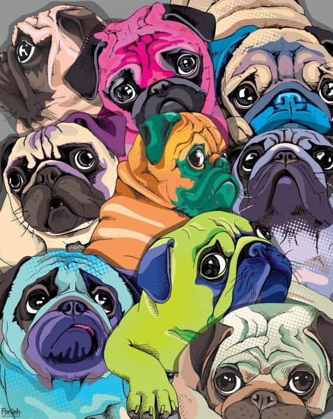 Картина на холсте Мопс