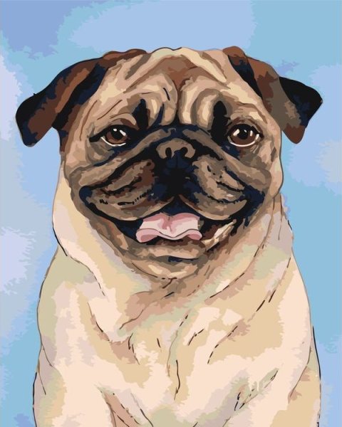 Картина на холсте Мопс