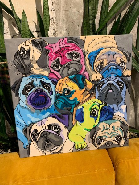 Мопс Фламинго