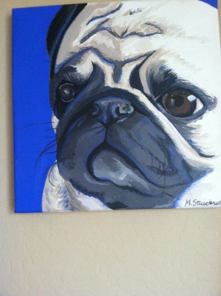 Картина цветные мопсы