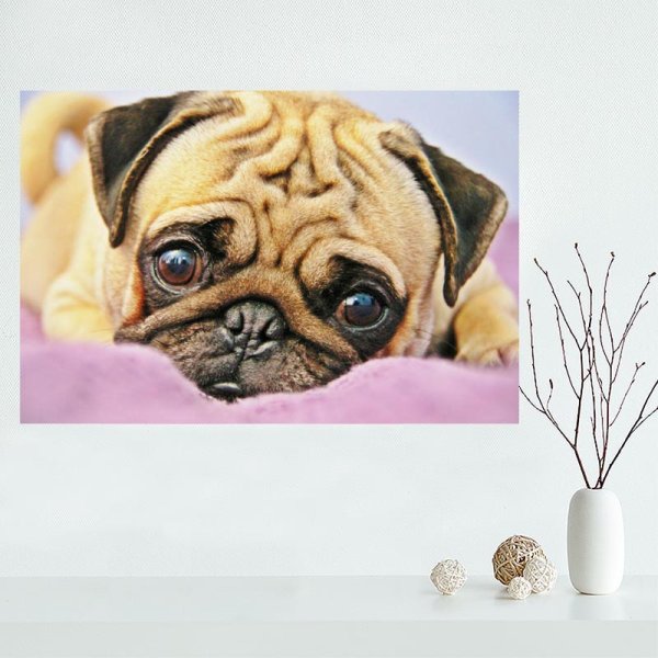 Стимпанк Мопс