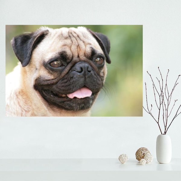 Энди Уорхол с собакой