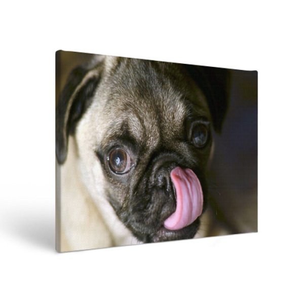 Картина два МОПСА