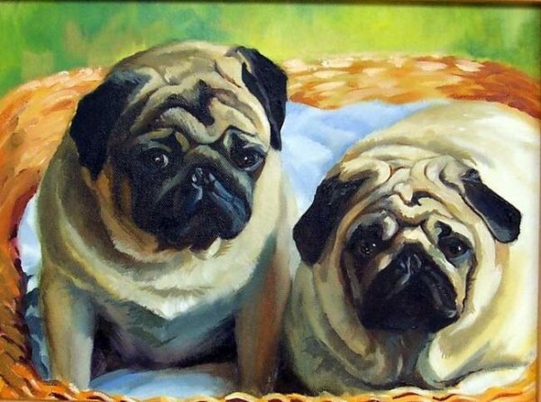 Алмазная мозаика Мопс