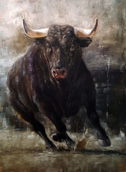 Красивый бык