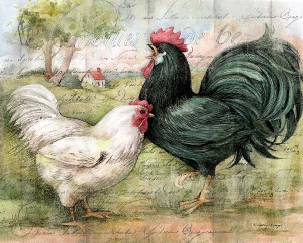 Курица рисунок