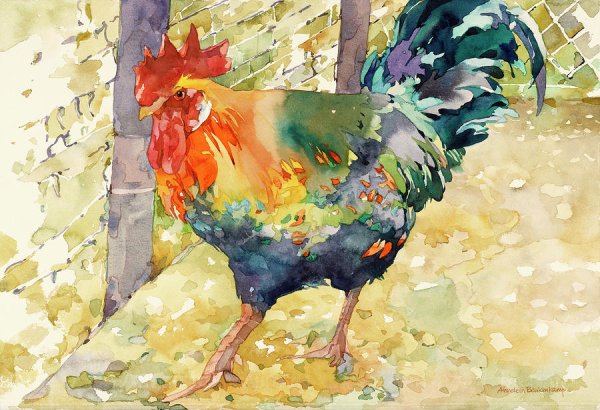 Курица акварелью