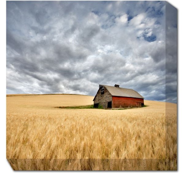 Американский Амбар в поле