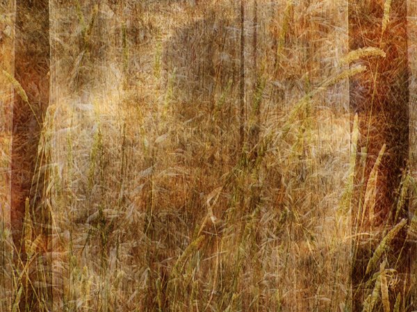 Холст для фотошопа