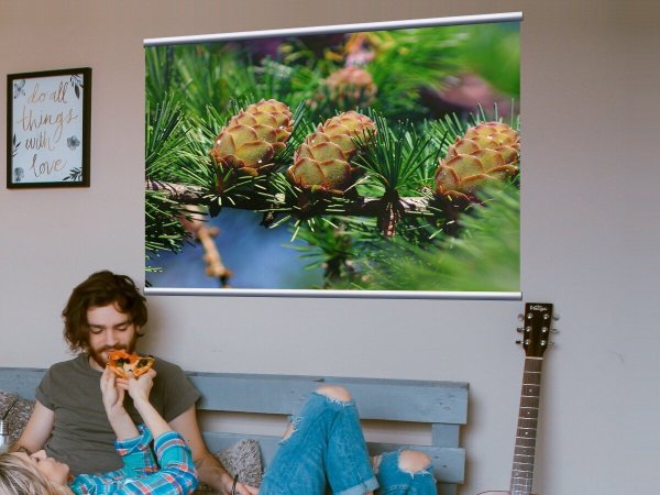 Художник Торопов Фома Гаврилович