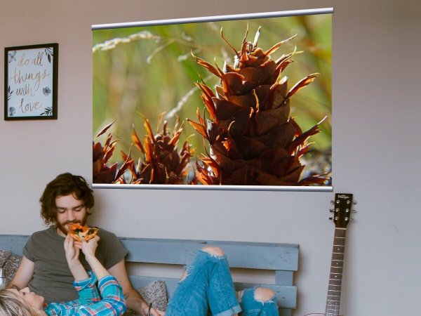 Адмирал Шишков Александр Семенович