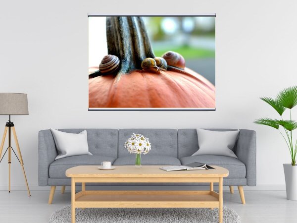 Юрий Алексеевич Шишков