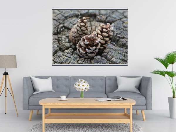 Александр Семёнович Шишков