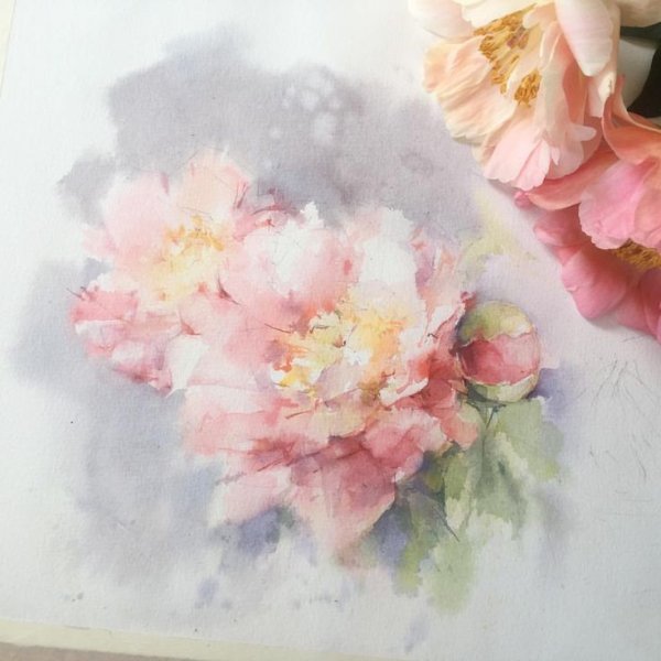 Елена Дюшан пионы акварель