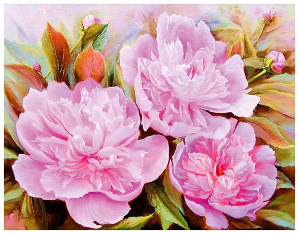 Олег Чувашев картины пионы