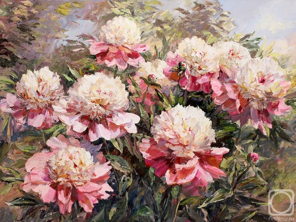 Денис Никонов пионы