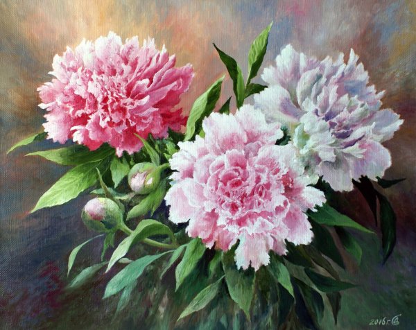 Пион маслом Diana_Tuchs