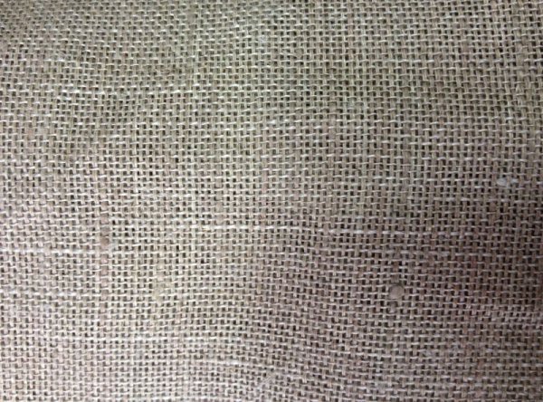 Крупнозернистый лен