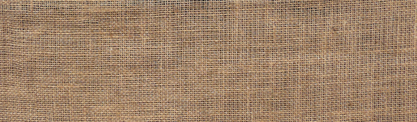 Ольга Булгакова Гоголь