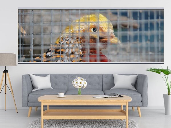 Квадратная сетка