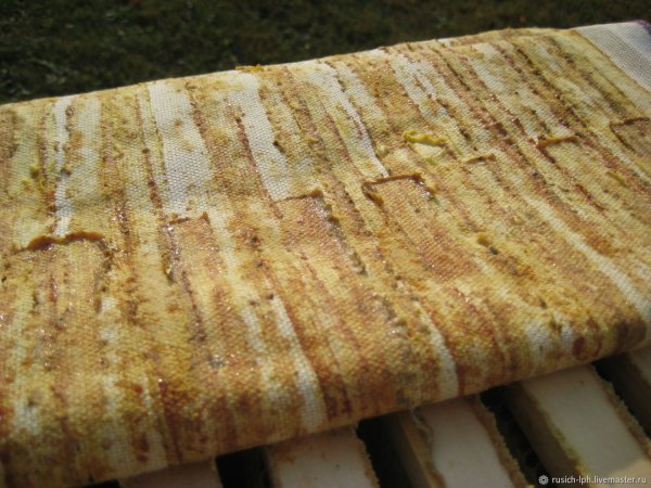 Положок прополисный