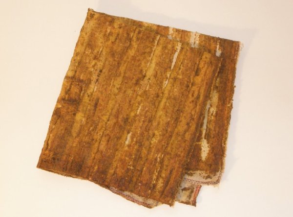 Холст прополиса