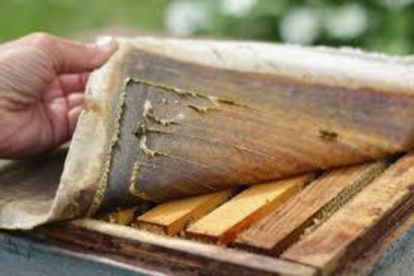 Прополис в тряпке