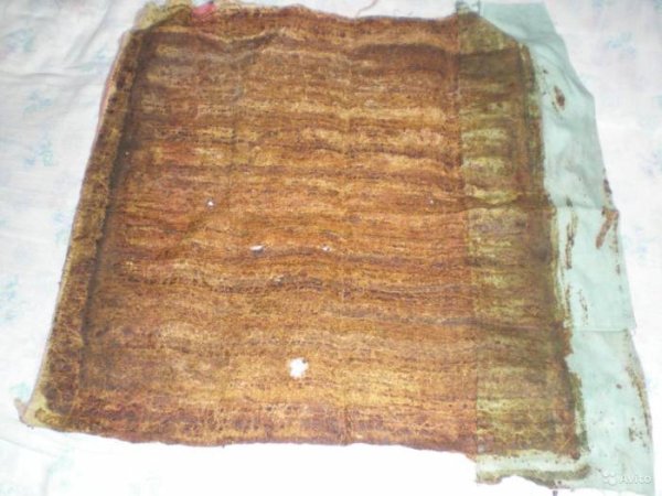 Положок прополисный