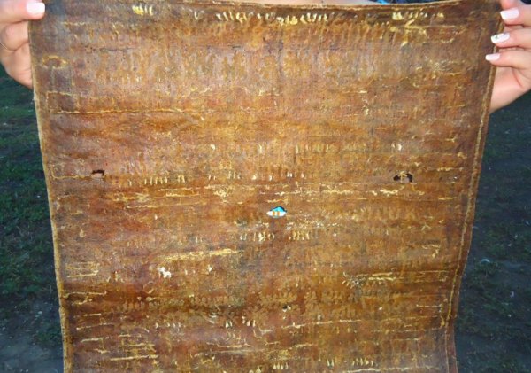 Пчелиный холстик