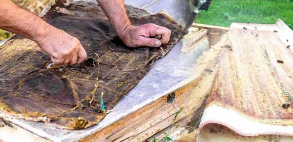 Дары Карелии интернет магазин