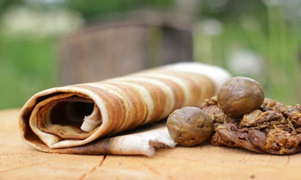 Холстик с прополисом