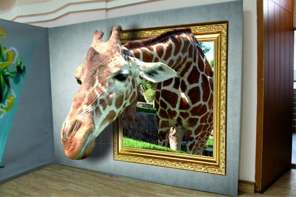 Иллюзия на стене