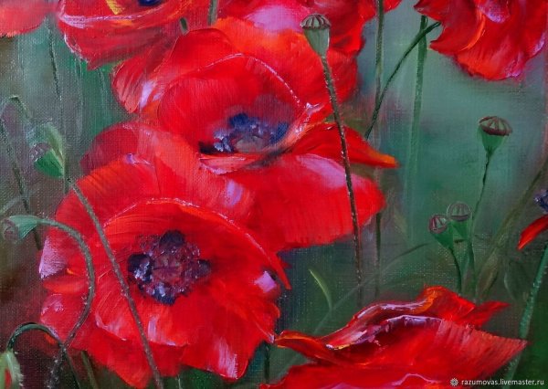 Маки живопись