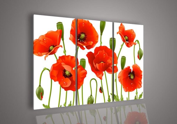 Картина для кухни маки