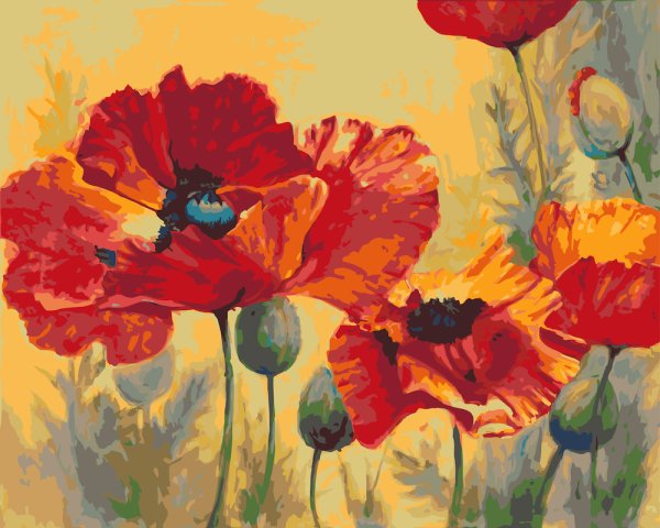 Картина по номерам (раскраска) 40х50 - полевые маки Дорис Бидл