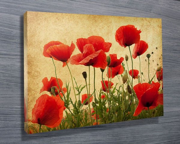 Маки акриловыми красками на холсте