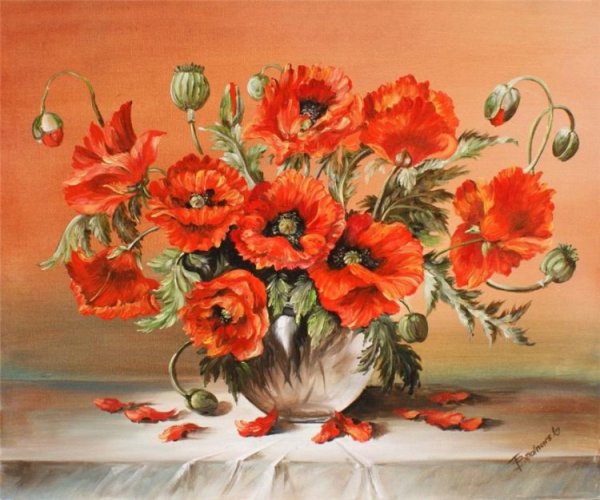 Картины по номерам маки 30х40