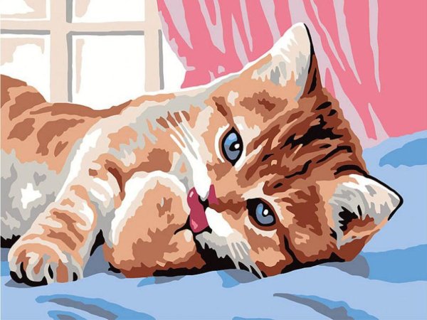 Рисование по номерам кошка