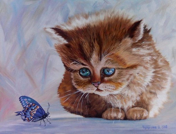 Разноцветные коты живопись