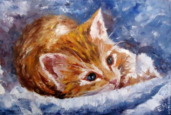 Ким Хаскинс коты