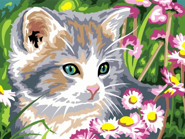 Картины Ирины Гармашовой коты