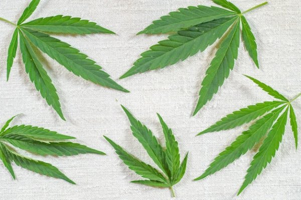 Ткань из конопляного волокна