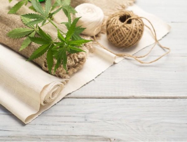 Бумага из конопли