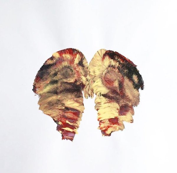 Отпечаток попы на холсте