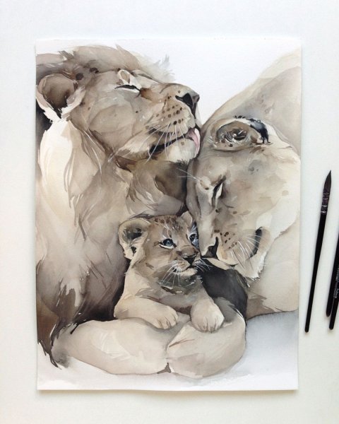 Наталья Каданцева акварель животные