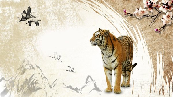 Свитки с иероглифами