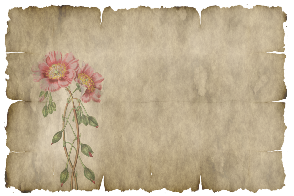 Китайский стиль на бумаге