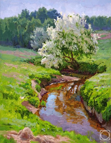 Картины Демиденко Омск