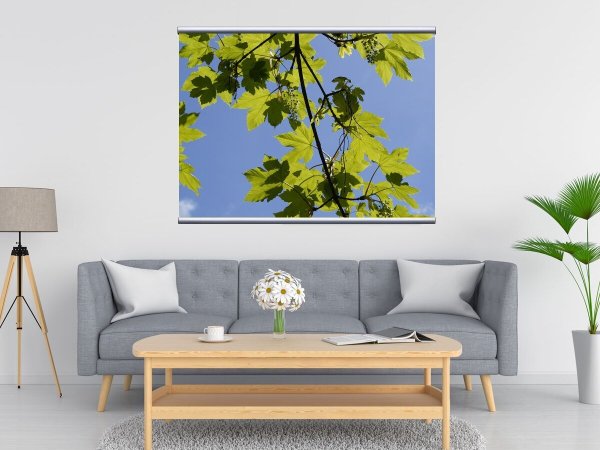 Майский пейзаж рисунки