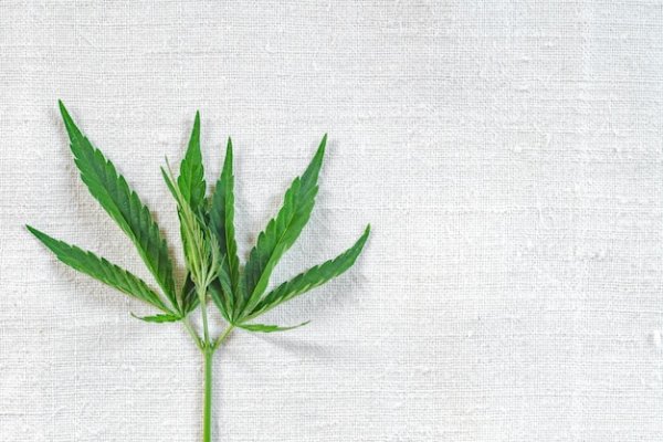 Конопля ткань